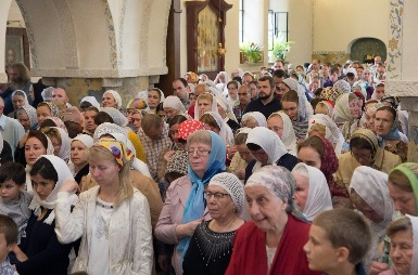 DIMA3654.jpg