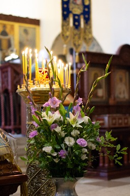 07  -DSC_7799.jpg