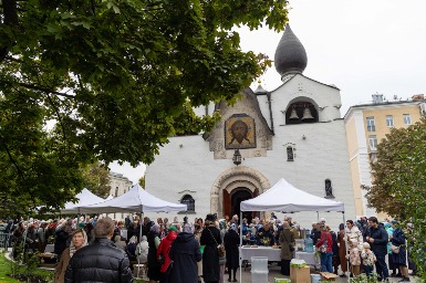 07-IMG_6558.jpg