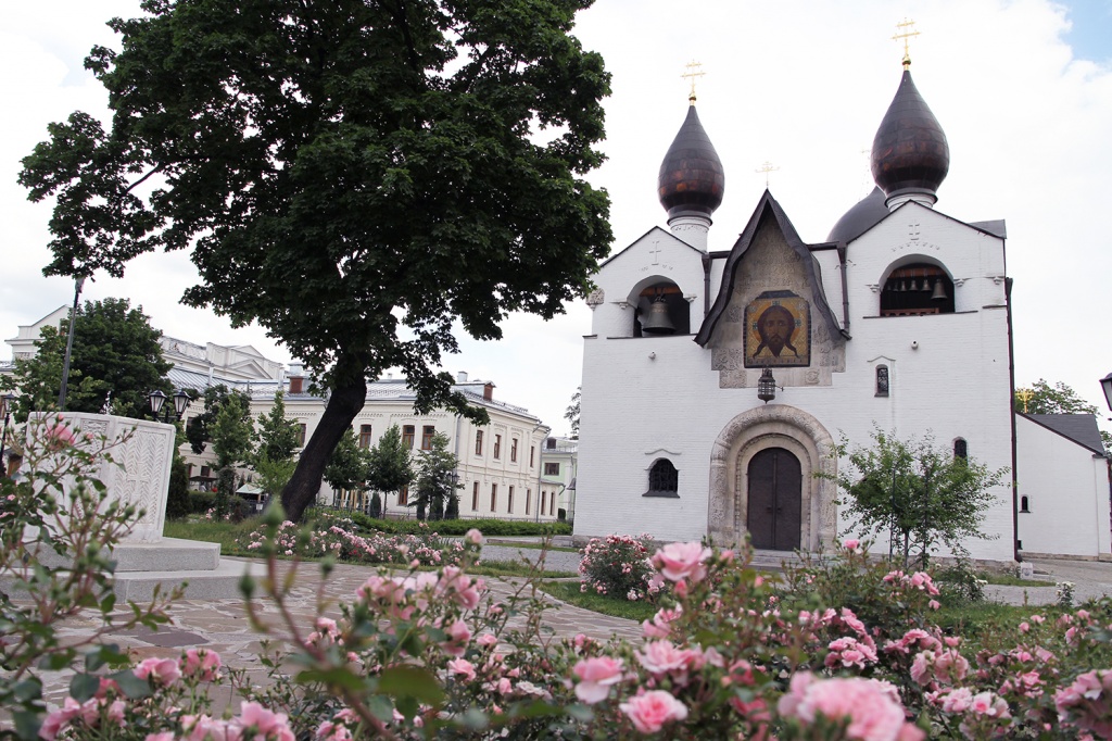 IMG_6448-мал.jpg